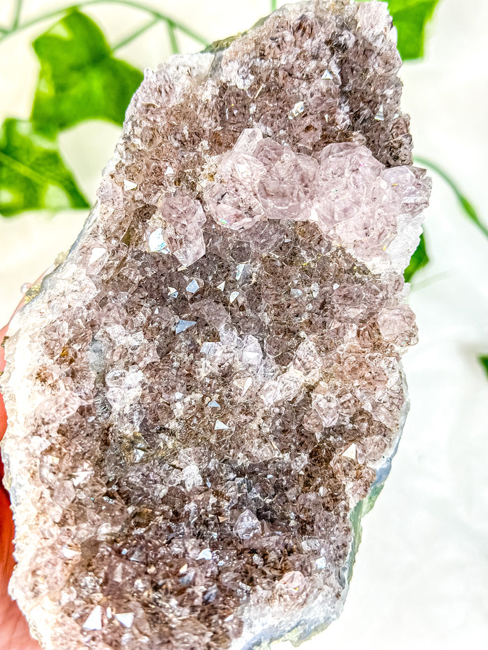Amethyst Cluster #6