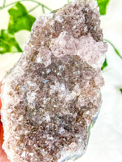 Amethyst Cluster #6
