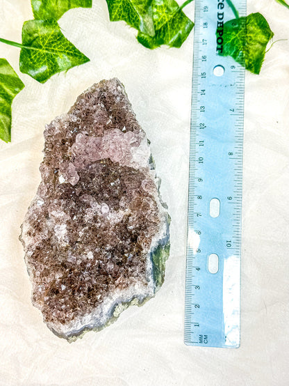 Amethyst Cluster #6