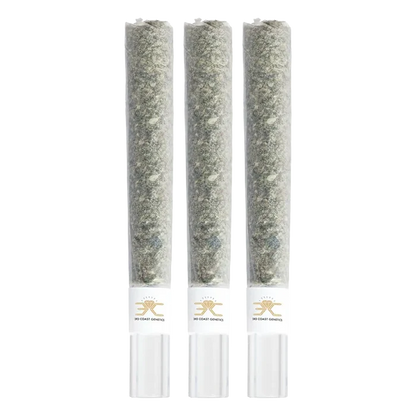 Three vertical glass tip pre-rolls shown front-on with visible herb and white branded bands reading Black Truffle Glass Tip PR 3 x 1 g.