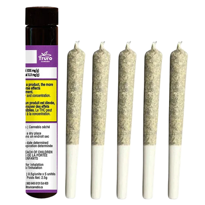 Right-side view of five rolled joints standing upright next to a purple-labeled tube of Caps Junky PR 5 x 0.5 g.