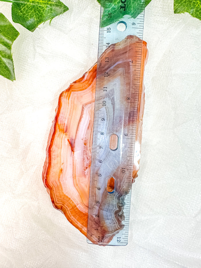 Carnelian Slab (HD) #6