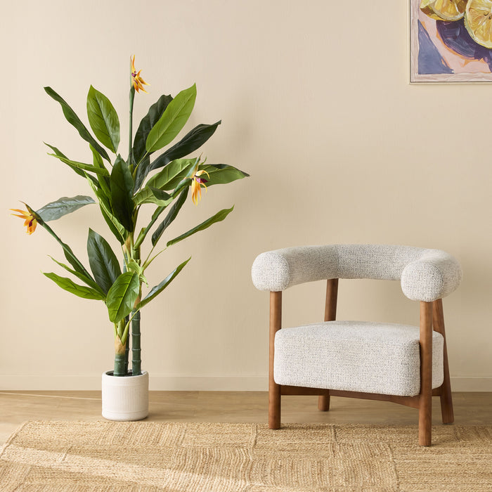 lifestyle_insitu:
