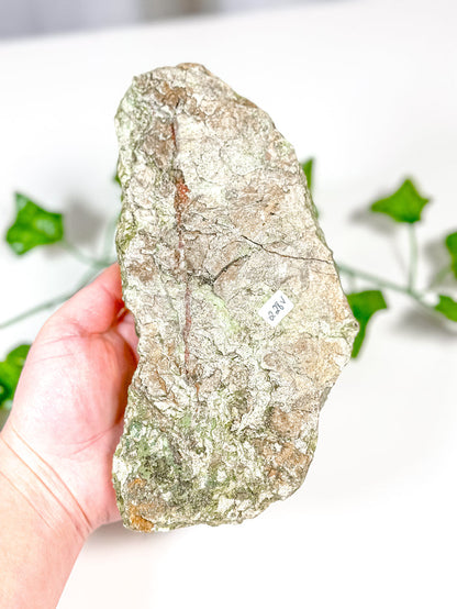 Fairy Forest Quartz w/ Epidote (228V)