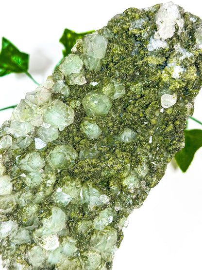 Fairy Forest Quartz w/ Epidote (228V)
