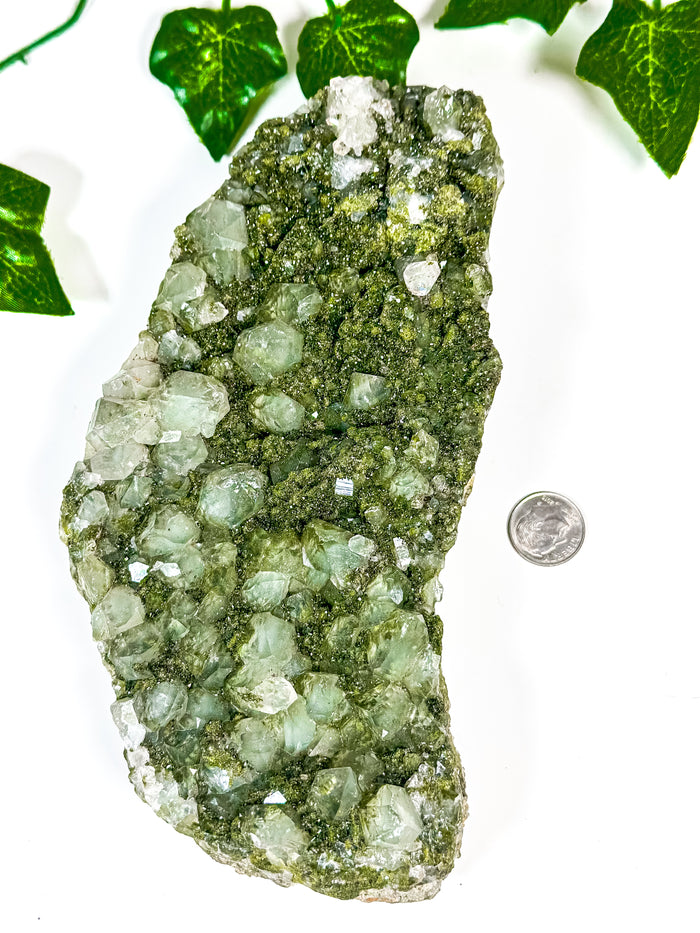Fairy Forest Quartz w/ Epidote (228V)