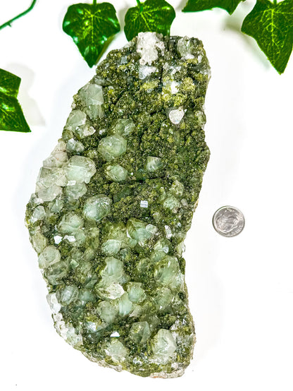 Fairy Forest Quartz w/ Epidote (228V)