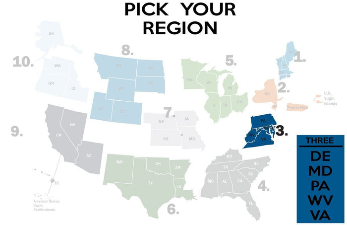 FEMA REGION THREE - pullover hoodie
