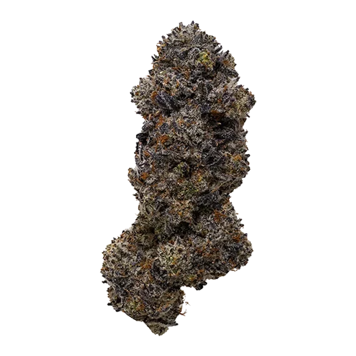 Close-up of a single frosty purple-green bud labeled Frisian Dew against a clean white background.