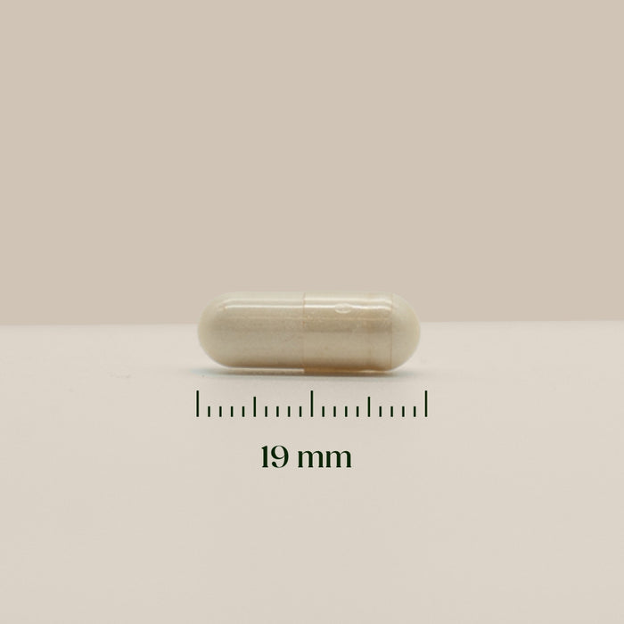Hairgivers Biotin supplement 1000 mcg | 120 capsules (Vitamin B7)