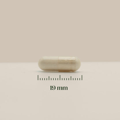 Hairgivers Biotin supplement 1000 mcg | 120 capsules (Vitamin B7)