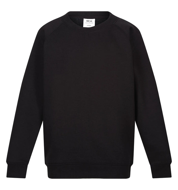 Holy Family PE Jumper