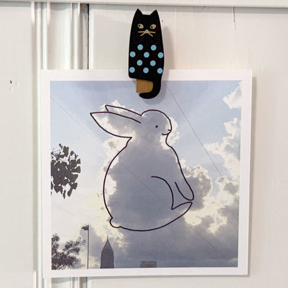 Sky Bunny