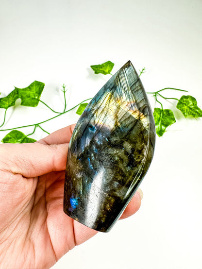 Labradorite Flame (38o)