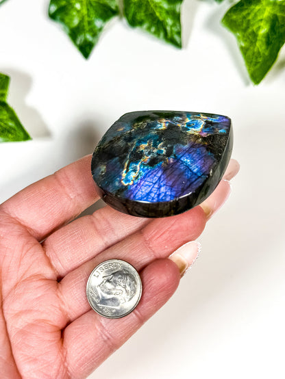 Labradorite Freeform (12A)