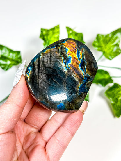 Labradorite Freeform (16B)
