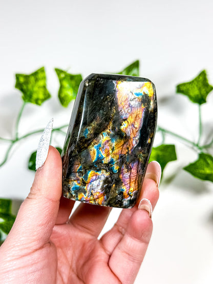 Labradorite Freeform (22C)