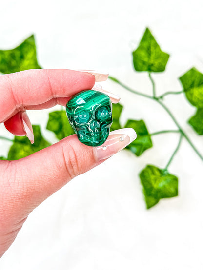 Malachite Skull (S)