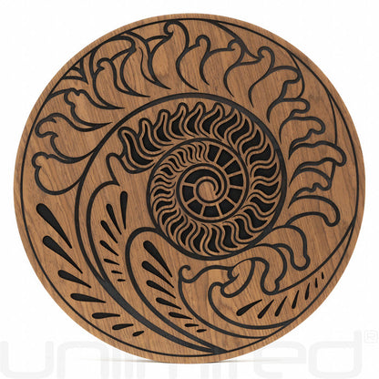 Meinl Rain Disks
