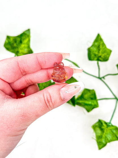 Mini Fluorite Toroto
