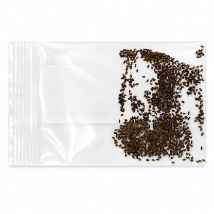 Clear plastic bag with a small amount of dark seeds on a white background