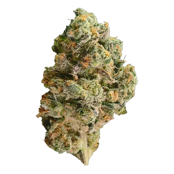 Close-up, three-quarter view of a frosty green and orange cannabis bud labeled Mutant Tire Fire, shown against a plain white background