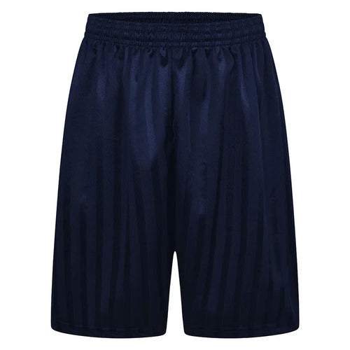 Navy Shadow Stripe Shorts