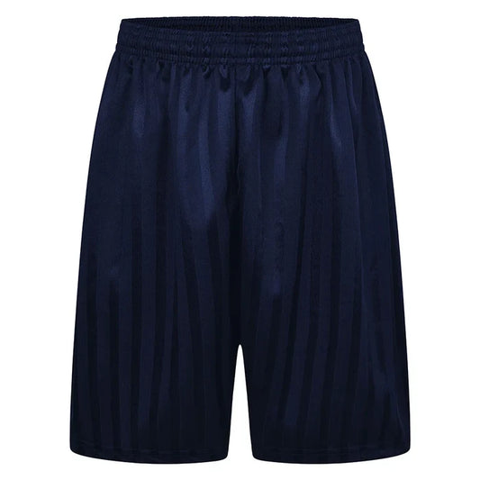 Navy Shadow Stripe Shorts