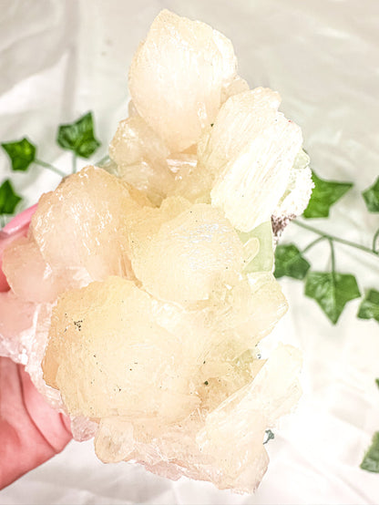 Peach Stilbite with Clear Apophyllite and Okenite Mineral Specimen #5 (AA)