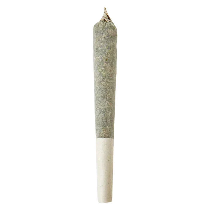 Top-down view of a single rolled joint on white background, labeled Rainbow Razz Distillate Infused PR 1 x 1 g.