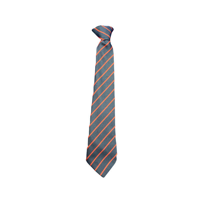 St Ambrose RC Primary Tie(s)