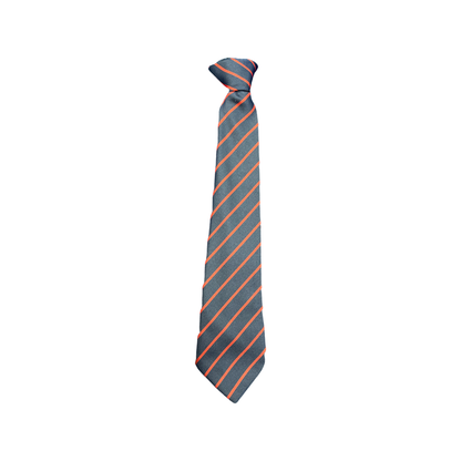 St Ambrose RC Primary Tie(s)