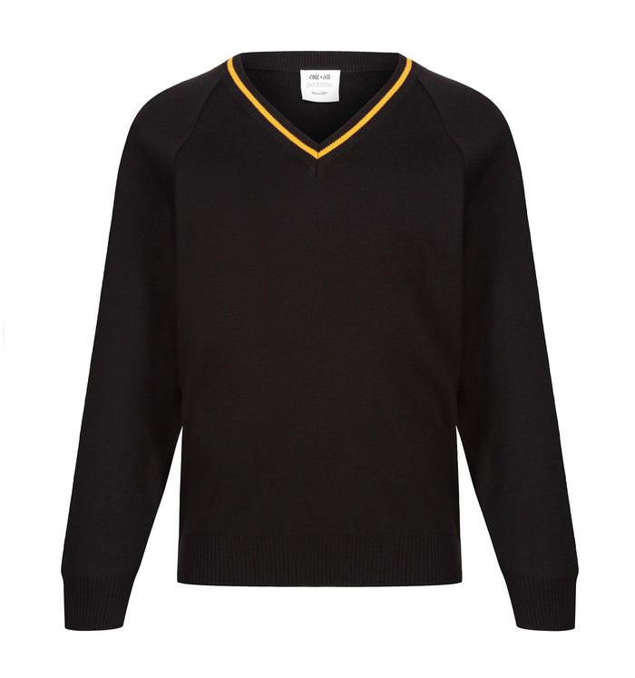 Stocked Special V-Neck Pullover