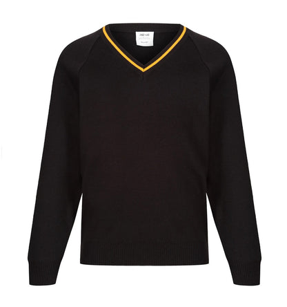 Stocked Special V-Neck Pullover