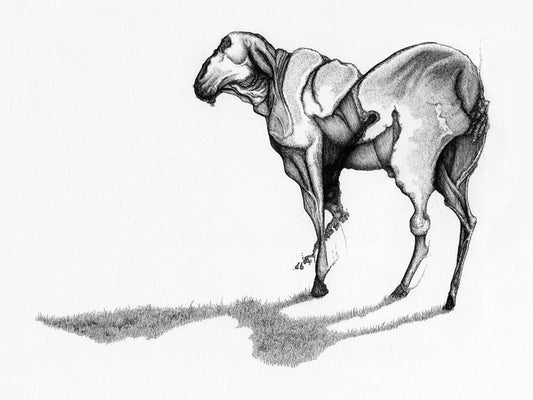 "The Sheep from Elsewhere" • Archival Print of Artwork by James Greer